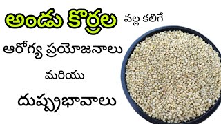 అండు కొర్రల గురించి మీకు తెలియని నిజాలు l Brown Top Millet l sideeffectsofbrowntopmillet [upl. by Raeann]