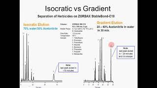 QampA  Tentang Perbedaan Isocratic Elution vs Gradient Elution [upl. by Esnahc]