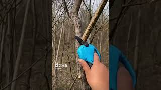 New power tool to prune trees faster 👍 [upl. by Caro]