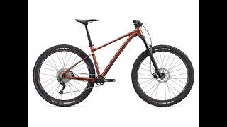 2022 GIANT FATHOM 2 29ER REVIEW  6 MONTHS OF RIDING [upl. by Charo]