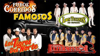 Puros Corridos Exitos Mix 2024  Los Tucanes De Tijuana Los Tigres Del Norte Grupo Exterminador [upl. by Eimme241]