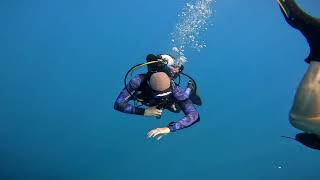 Kate Mark amp Guy ChrisDiving your SSI diving and Training center in Costa Rica 22102023 [upl. by Gulgee]