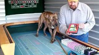 Learn How to Play Craps Video Putting Odds on the Craps Table [upl. by Enttirb]