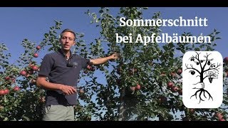 Der Sommerschnitt beim Apfel leicht gemacht  Obstbäume im Sommer schneiden [upl. by Biondo]