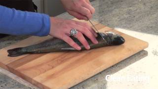 How to Fillet a Fish [upl. by Lenee]