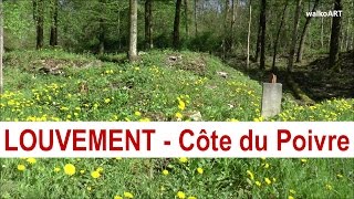 VERDUN 2016  Louvemont zerstörtes Dorf 1916  destroyed Village detruit  Verdun Champ de Bataille [upl. by Akinehs316]