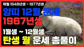 1967년생 12월 양띠운세 12월 큰 기회의 신호 67년양띠12월운세 67년생양띠12월운세 [upl. by Eduino]