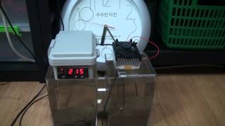 DIY Peltier Water Cooler Test [upl. by Lynd]