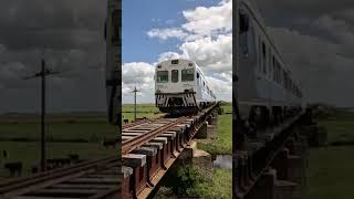 TREN GENERAL GUIDO A DIVISADERO PINAMAR CAF 593 LINEA ROCA [upl. by Wanyen875]