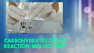 Carbohydrates Color Reaction Molisch Test [upl. by Nnylahs]