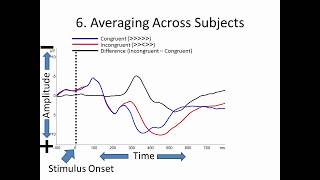 An introduction to EEG analysis eventrelated potentials [upl. by Alfredo183]