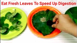 Tips To Eat Fresh Mint Ajwain And Betel Leaves To Speed Up Digestion [upl. by Rich879]