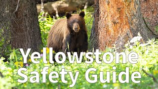 How to Stay Safe in Yellowstone National Park [upl. by Aikrehs]