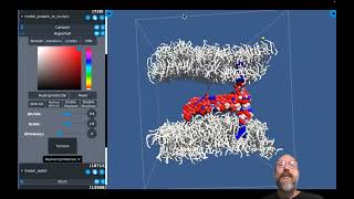 MolPlay coarse grained interactive molecular dynamics of a double bilayer system [upl. by Oloap226]