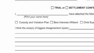 PreTrial Brief [upl. by Lalage]