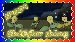 La revanche du shiny 009 Chétiflor  Horde [upl. by Attenhoj]