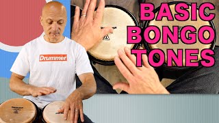 Basic Bongo Tones  How to Play Bongos Tutorial [upl. by Calvina]