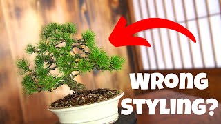 8 CantMiss Pitfalls About Pine Bonsai Styling [upl. by Mozelle]