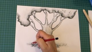 Comment dessiner un arbre étape par étape [upl. by Zohara]