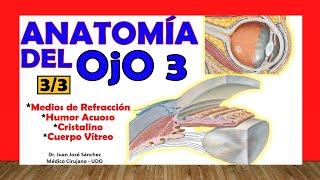 🥇 Anatomía del OJO 33  Medios de Refracción Cámaras del Ojo Humor Acuoso Cuerpo Vítreo [upl. by Yevi399]