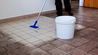 TILE CLEANER  How To Clean  Tips [upl. by Salomo208]