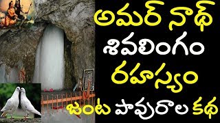 amarnath cave mystery  amarnath temple secret  amarnath real pigeon story amarnath yatra 2019 [upl. by Georglana189]