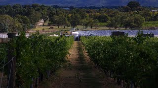 Sewage Treatment Plant for Vineyard [upl. by Amelie904]