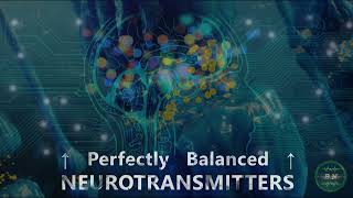 Perfectly Balanced NEUROTRANSMITTERS  Synthesis Uptake Storage Receptor Sensitivity amp Density [upl. by Kirchner160]