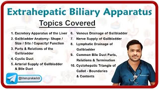 Extrahepatic Biliary Apparatus A Comprehensive Anatomy Guide by Dr Abhijeet 📚✨ [upl. by Elumas]