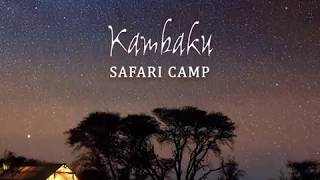 Kambaku Safari Camp [upl. by Wetzell]