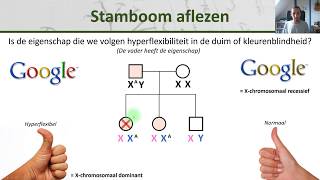 Bio  Stambomen  Maken en aflezen  Erfelijkheid 5 [upl. by Tobye]