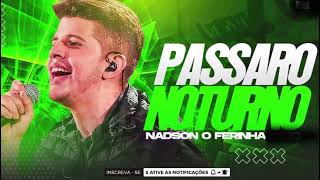 NADSON O FERINHA  PASSARO NOTURNO [upl. by Gilges]