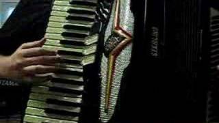 The Godfather Theme on Accordion [upl. by Mallis]