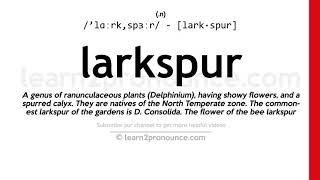 Pronunciation of Larkspur  Definition of Larkspur [upl. by Akienat148]