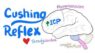 Cushing Reflex  Cushing Triad  Intracranial Hypertension  Emergency Medicine and EMS EMT [upl. by Mas]