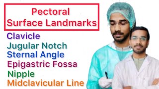 Pectoral Surface Landmark  Clavicle  Jugular Notch  Sternal Angle  Epigastric Fossa  Nipple [upl. by Houghton125]