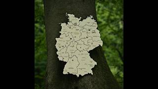 Deutsche Bundesländer  Federal States of Germany Flashcards [upl. by Annahtur124]