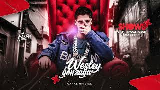 DJ WESLEY GONZAGA  BOTA E DA TAPA NA CARA [upl. by Behnken]