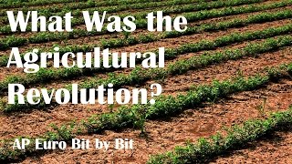 What Was the Agricultural Revolution AP Euro Bit by Bit 23 [upl. by Bunce]