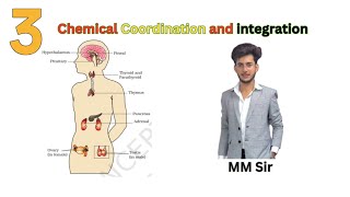 Chemical Coordination and Integration for Class 11th and NEET  Lecture 3 [upl. by Ardnasirhc162]