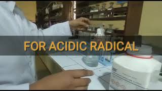 Salt Analysis of CaCO3Class11th 12thImportant for Board Practical [upl. by Younglove]