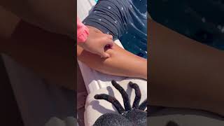 Spider bite prank on dad 😱🤣🌈✅❤️🚀🕷️🕸️ [upl. by Blakelee]