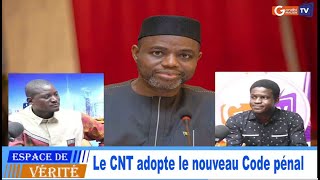 urgent Le CNT adopte le nouveau Code pénal écoutons Aziz Traoré [upl. by Nnoved75]