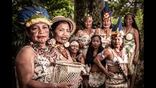 Cidadania  As mulheres que defendem a Amazônia TV Senado [upl. by Wright]