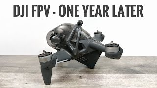 DJI FPV Drone One Year Later  Long Term Review [upl. by Yesllek]