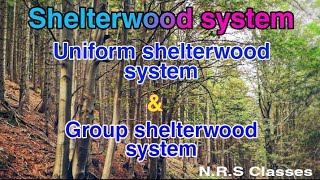 Shelterwood system Uniform shelterwood system and Group shelterwood system [upl. by Nosmirc]