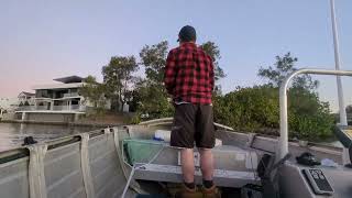 Quick fish in Nerang river Gold Coast [upl. by Curren389]