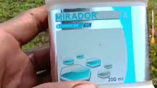 1 MiradorFungicide Adama।। Adama Mirador।। Mirador।। Azoxystrobin Fungicide।। Azoxystrobin 23 SC [upl. by Adekram265]