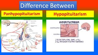 Distinction Between Panhypopituitarism and Hypopituitarism [upl. by Naaitsirhc]