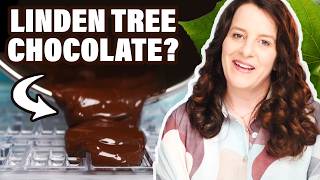 Will it chocolate Taste Test Tree Berries [upl. by Sandberg]